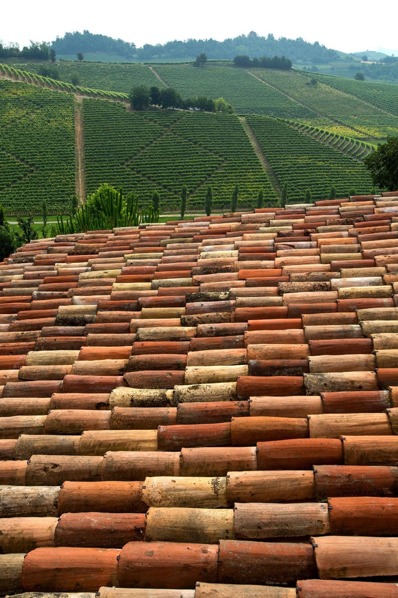 Relais Di Tenuta Santa Caterina B&B Grazzano Badoglio Cameră foto