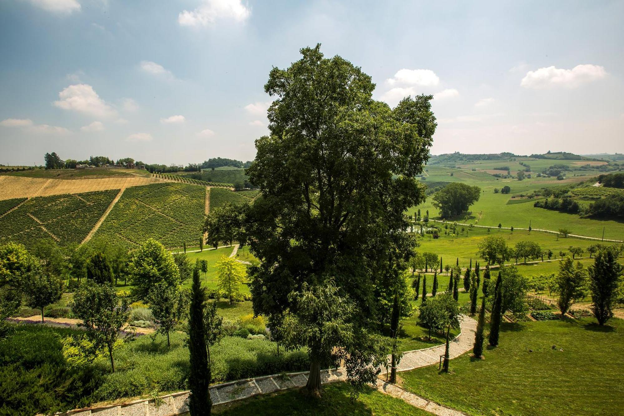 Relais Di Tenuta Santa Caterina B&B Grazzano Badoglio Cameră foto