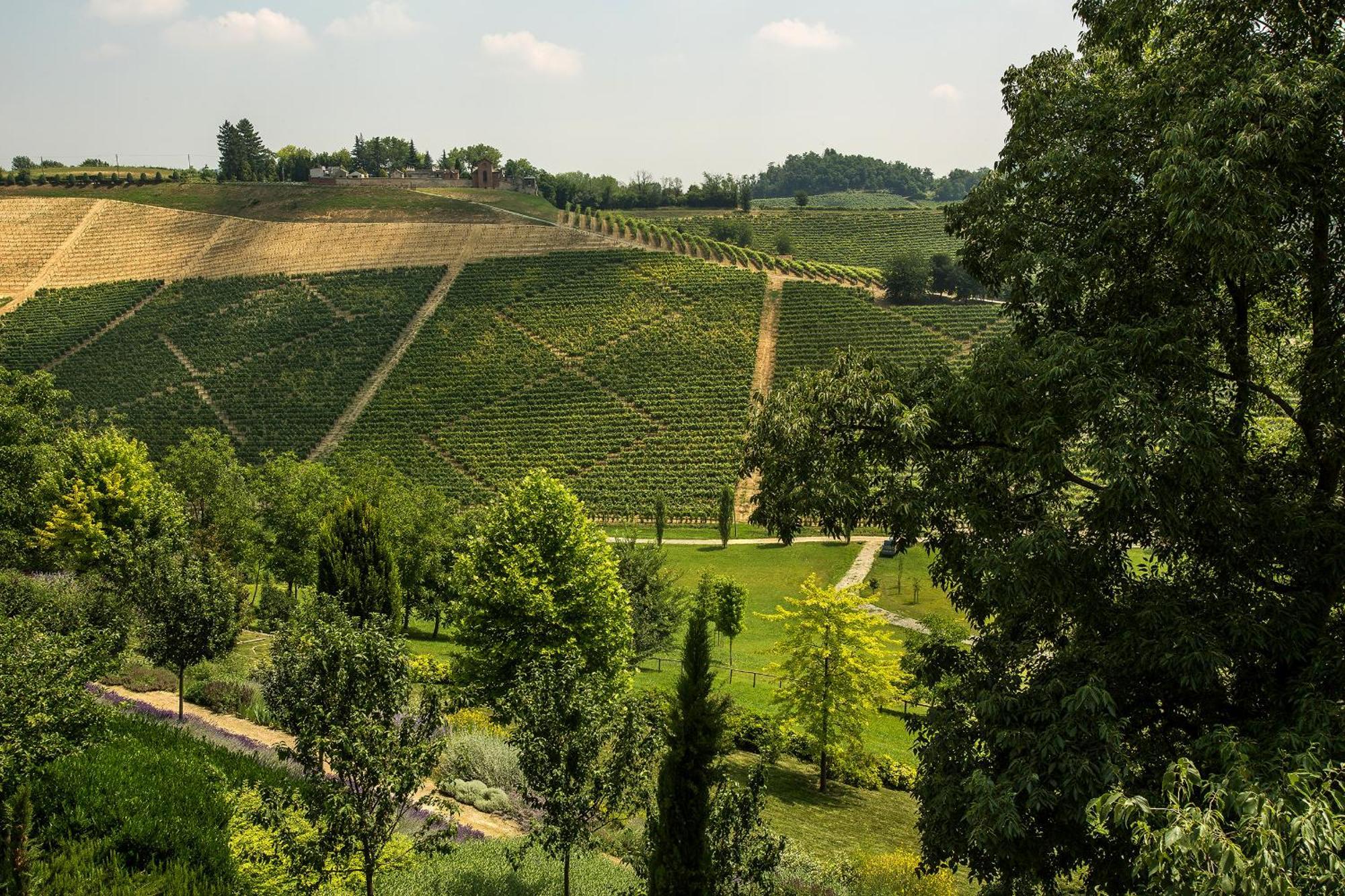 Relais Di Tenuta Santa Caterina B&B Grazzano Badoglio Cameră foto